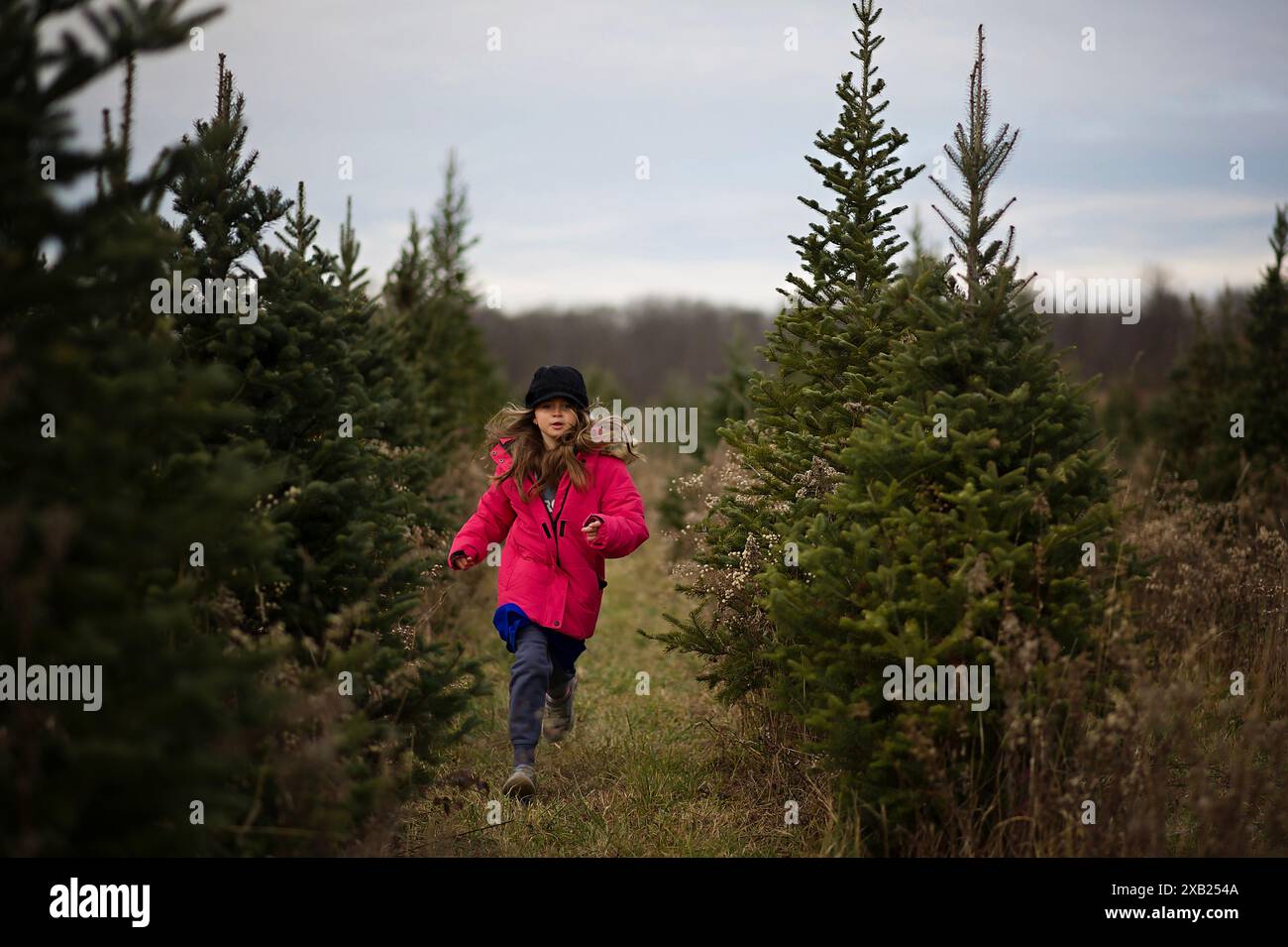 Bambina felice che corre attraverso la fattoria degli alberi verdi a Natale Foto Stock