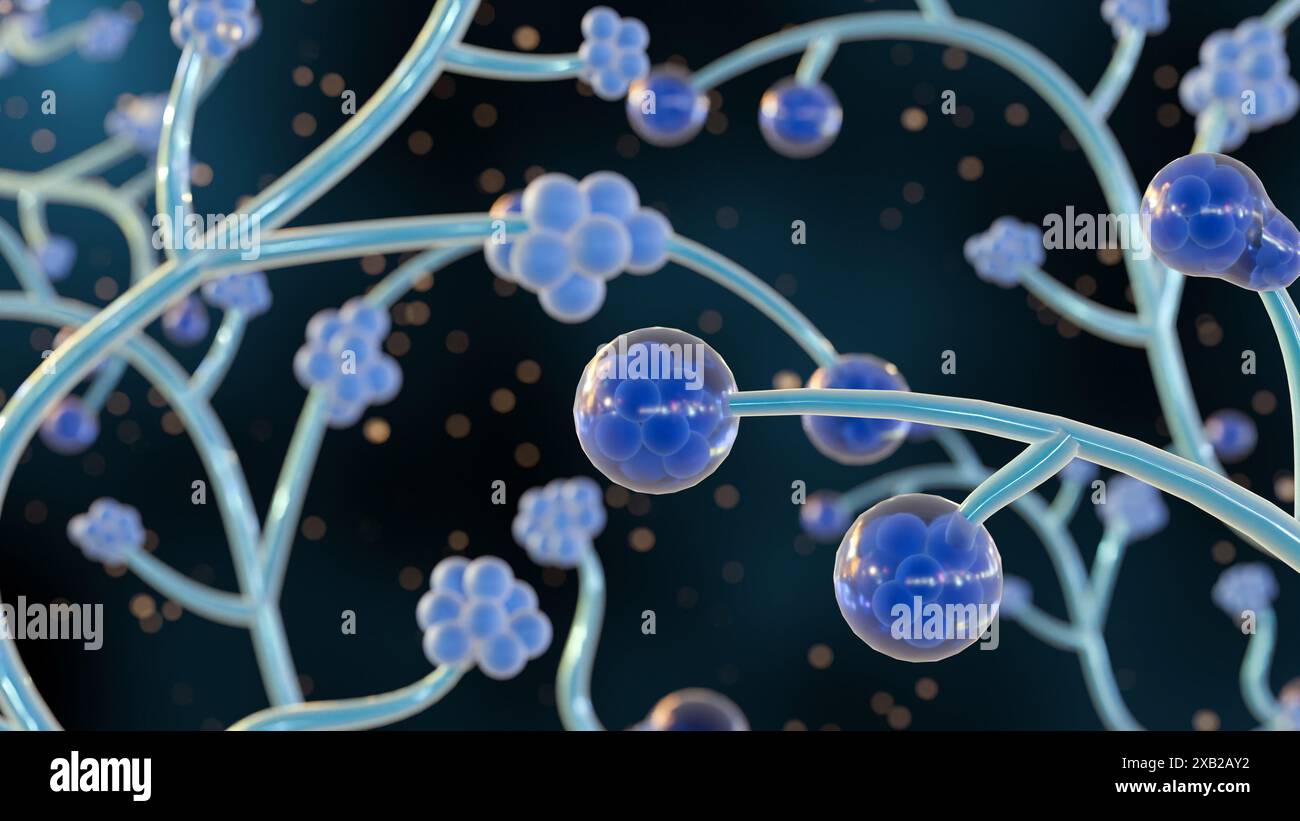 Rendering 3d di Candida albicans, è un lievito patogeno opportunistico che è un membro comune della flora intestinale umana Foto Stock Rendering 3d di Candida albicans, è un lievito patogeno opportunistico che è un membro comune della flora intestinale umana Foto Stock
