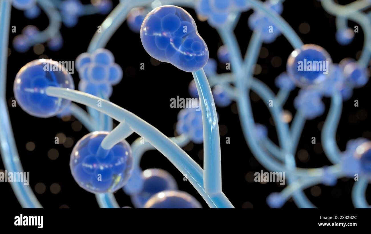 Rendering 3d di Candida albicans, è un lievito patogeno opportunistico che è un membro comune della flora intestinale umana Foto Stock Rendering 3d di Candida albicans, è un lievito patogeno opportunistico che è un membro comune della flora intestinale umana Foto Stock