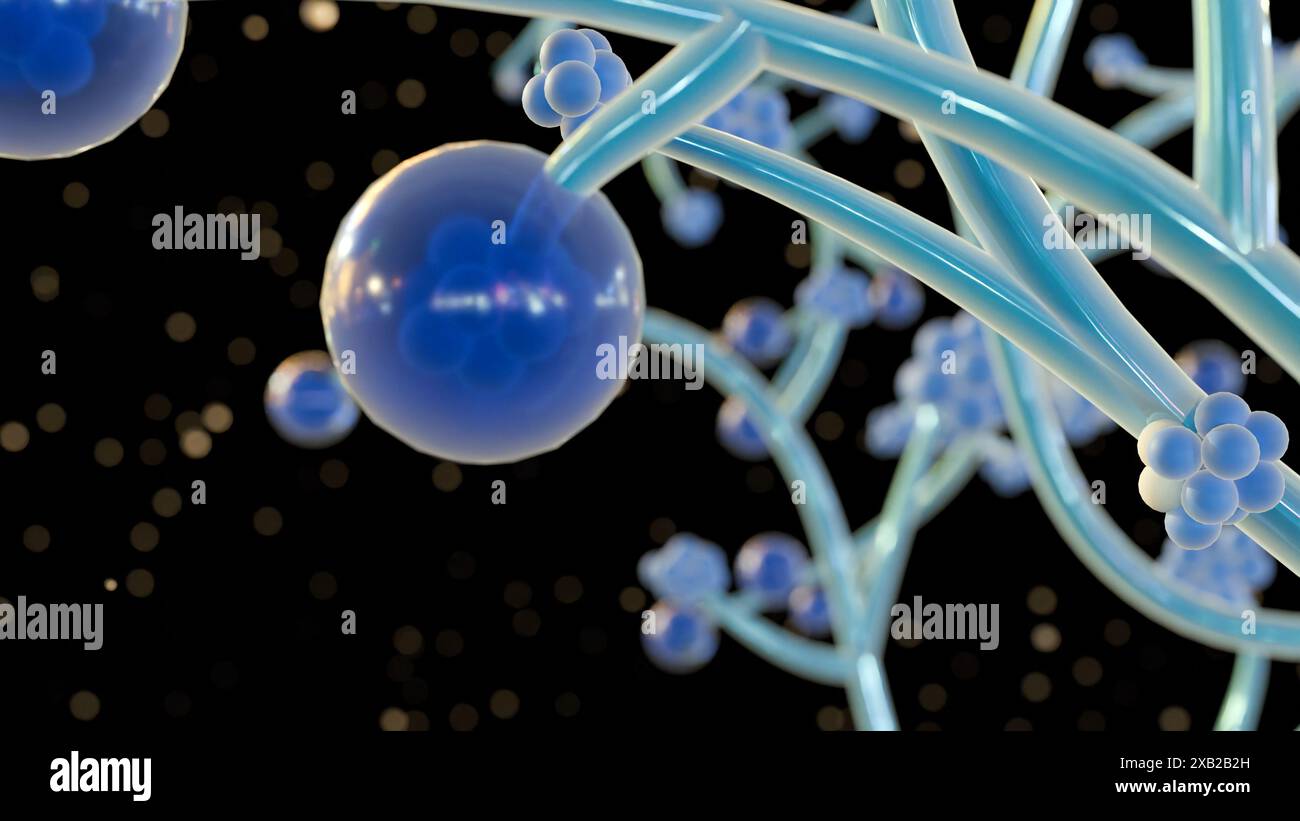 Rendering 3d di Candida albicans, è un lievito patogeno opportunistico che è un membro comune della flora intestinale umana Foto Stock