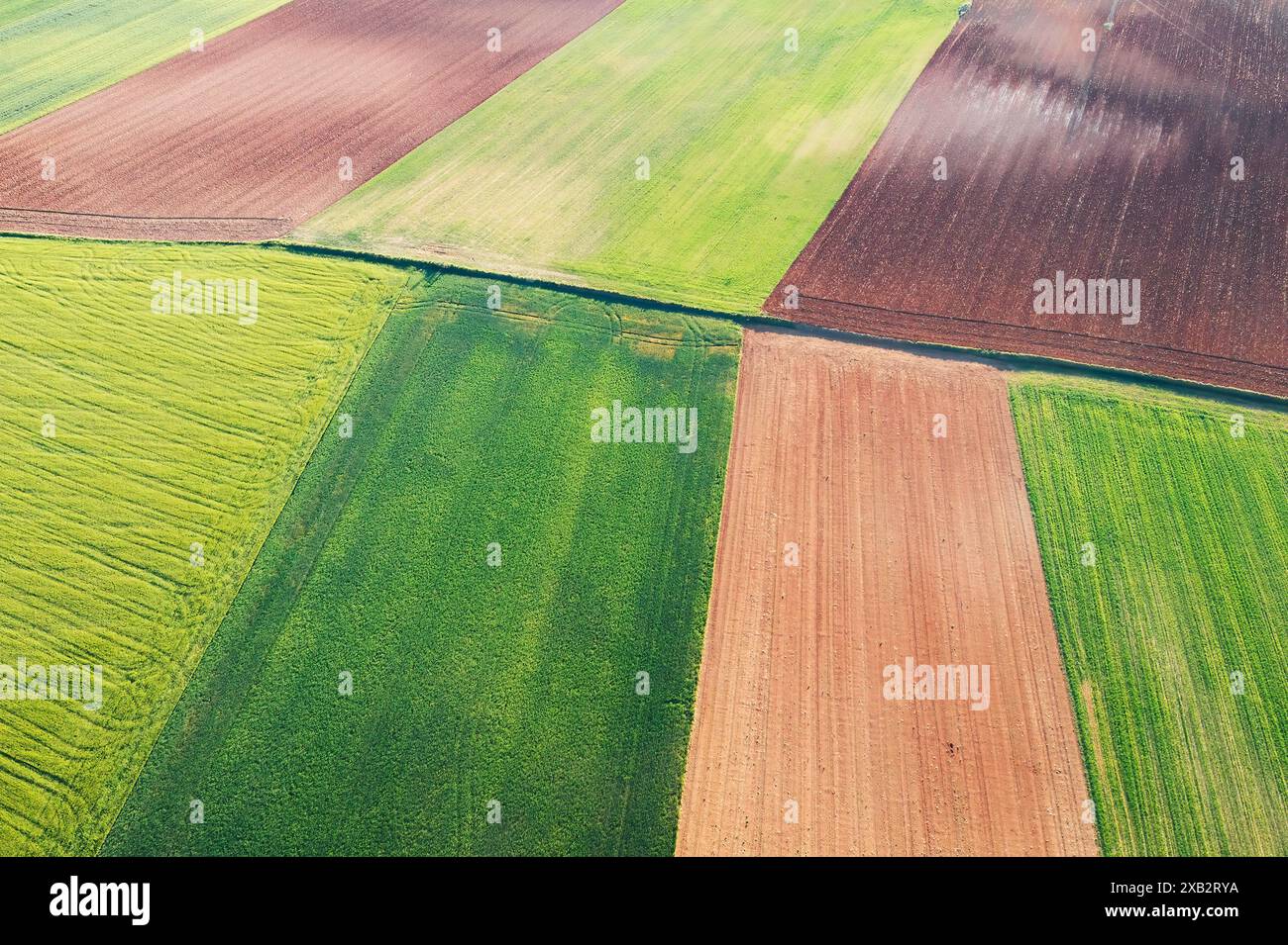 Vista aerea dei colorati campi coltivati che mostrano le opere d'arte della natura. Foto Stock
