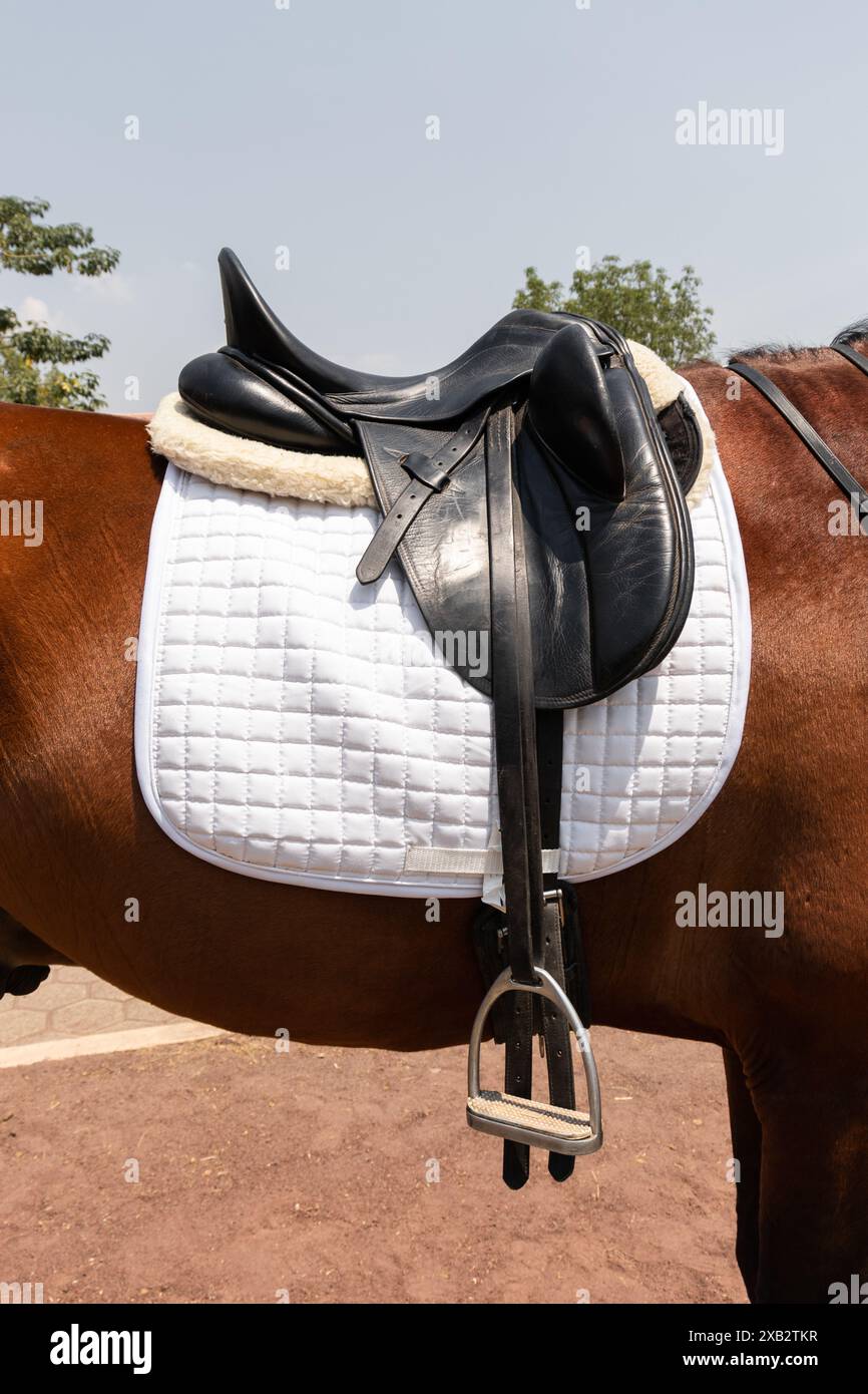 Un'immagine dettagliata che mostra una sella in pelle nera montata su un cavallo da baia, dotata di staffe e una sottosella bianca, su uno sfondo naturale Foto Stock
