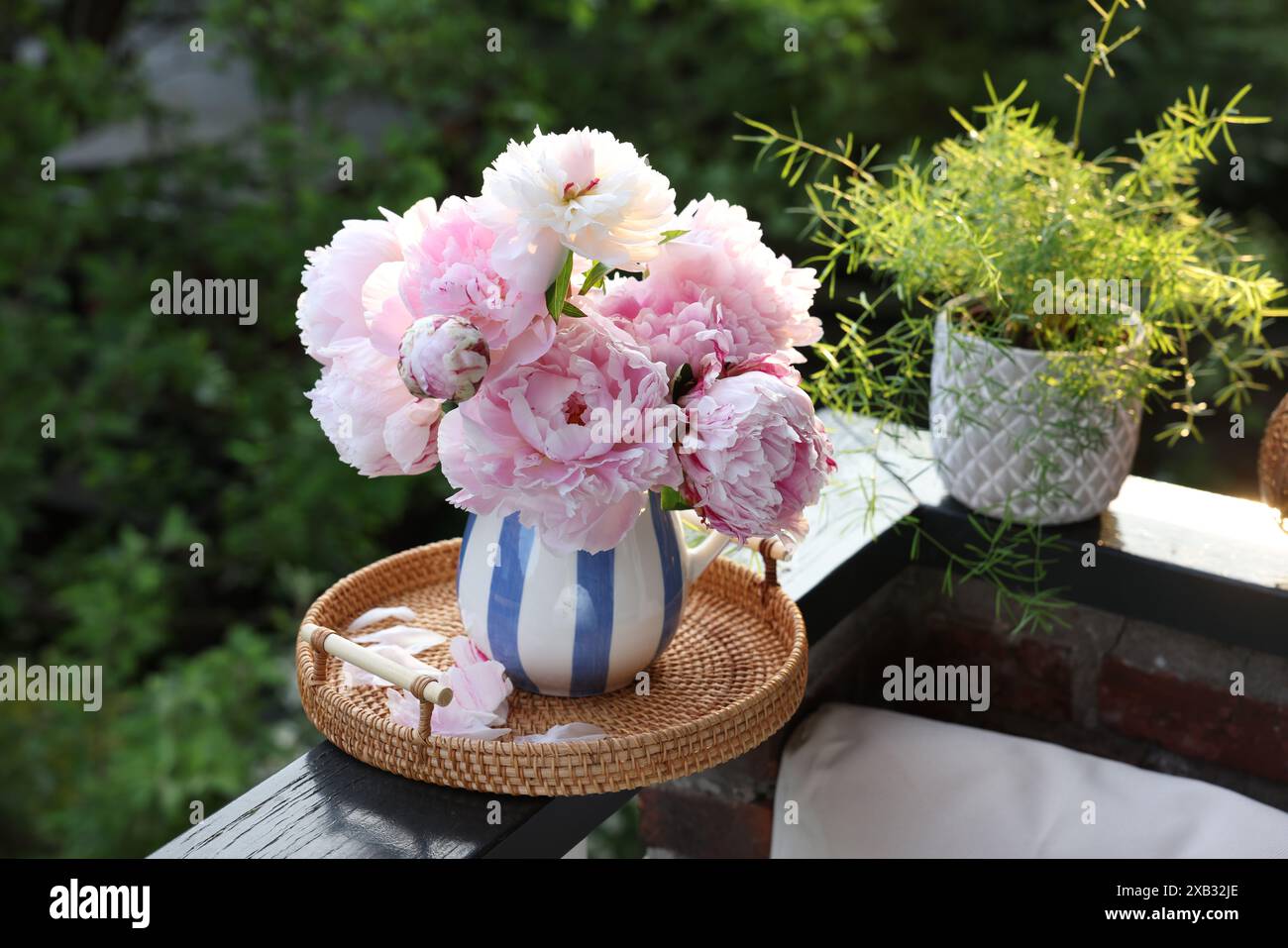 Bellissimi fiori di peonia rosa in vaso e piante in vaso su ringhiera del balcone all'aperto Foto Stock