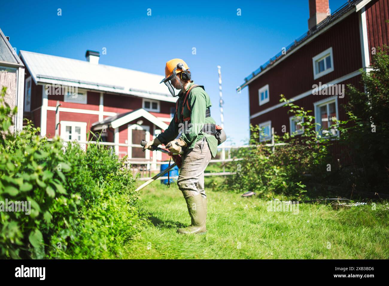 Donna che taglia l'erba in giardino durante la giornata di sole Foto Stock