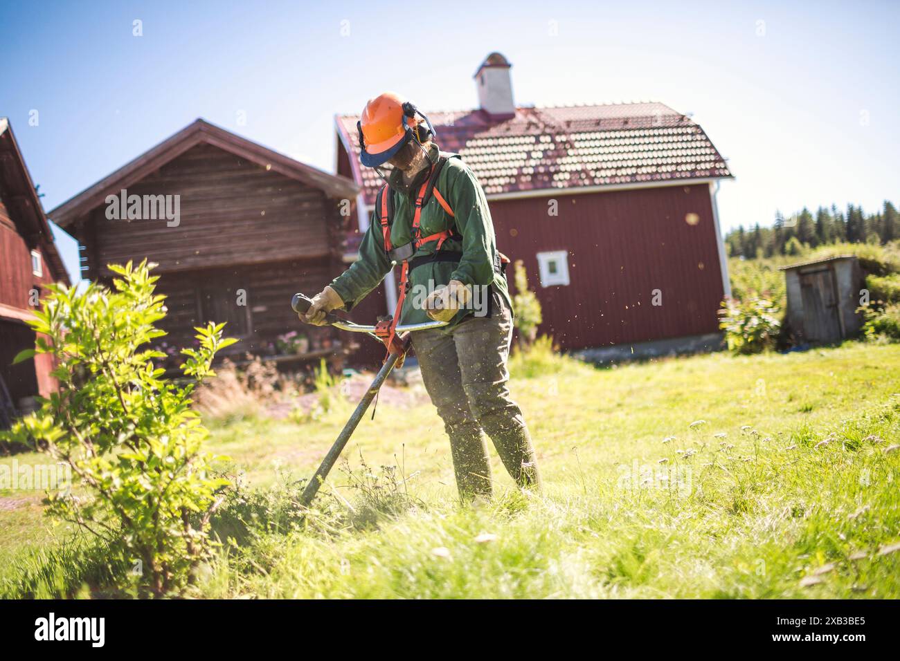 Donna che taglia l'erba in giardino nelle giornate di sole Foto Stock