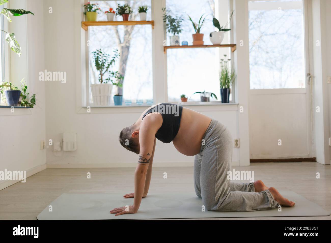 Vista laterale della donna incinta che pratica yoga a casa Foto Stock