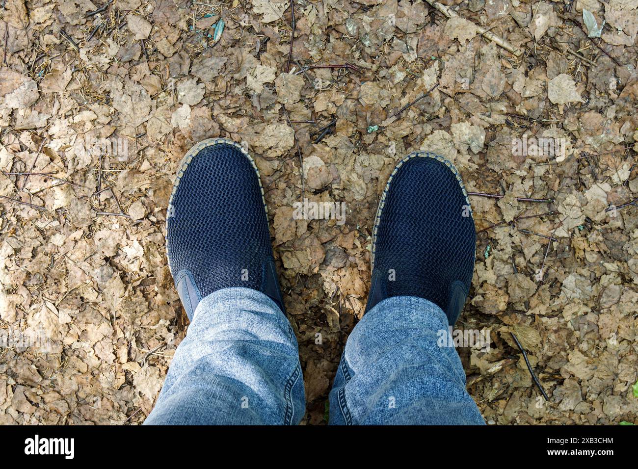 Gambe da uomo in jeans blu e scarpe slip-on, in piedi per terra ricoperte di foglie appassite, vista in prima persona Foto Stock