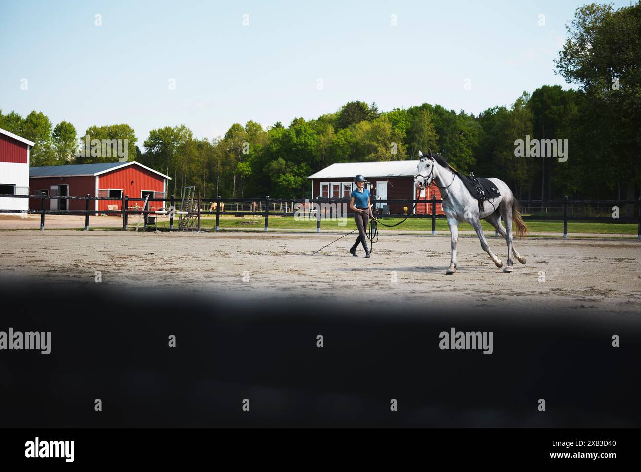Allenatrice con cavallo al ranch nelle giornate di sole Foto Stock