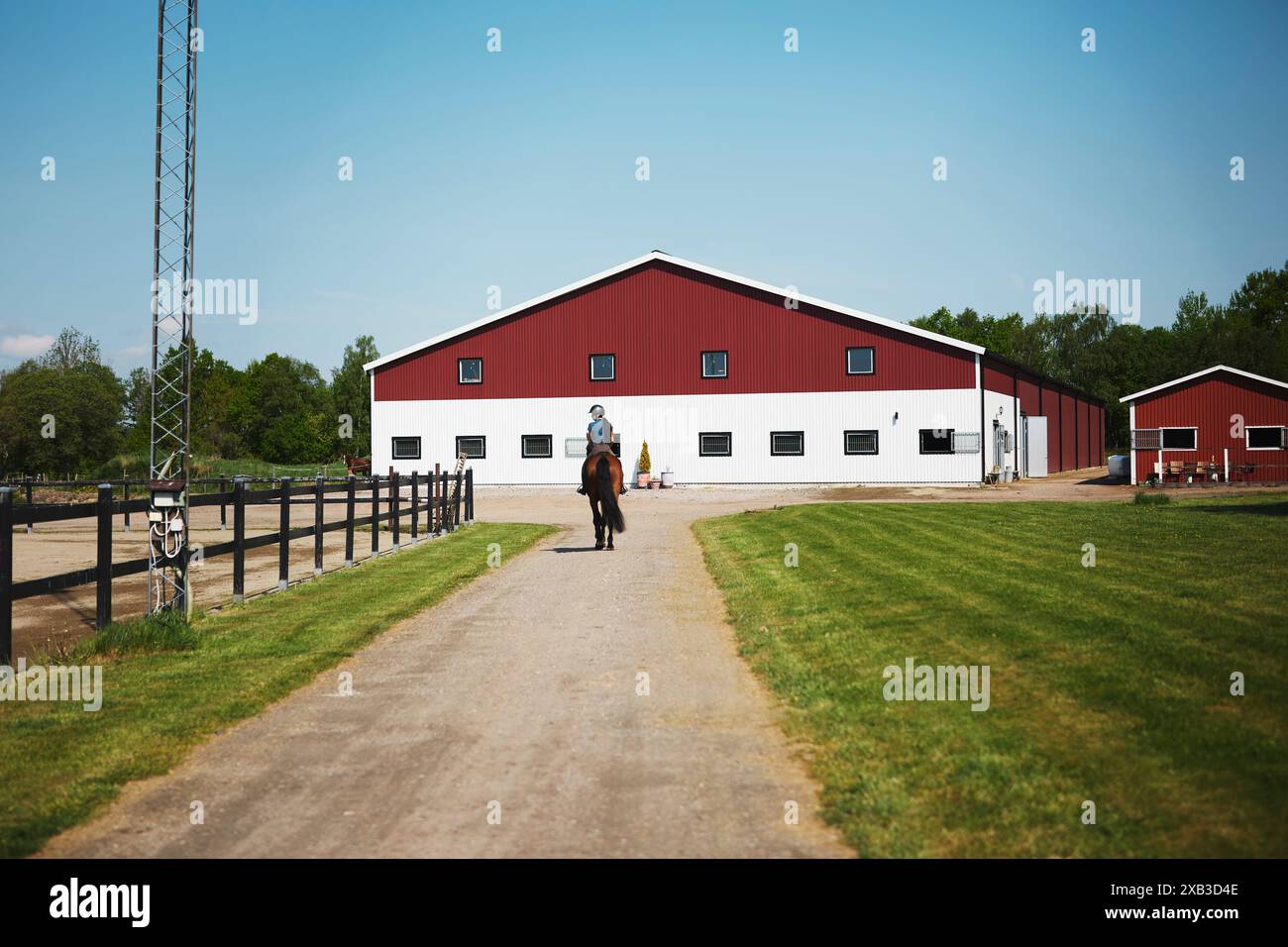 Jockey femmina che cavalca su strada al ranch durante il giorno di sole Foto Stock