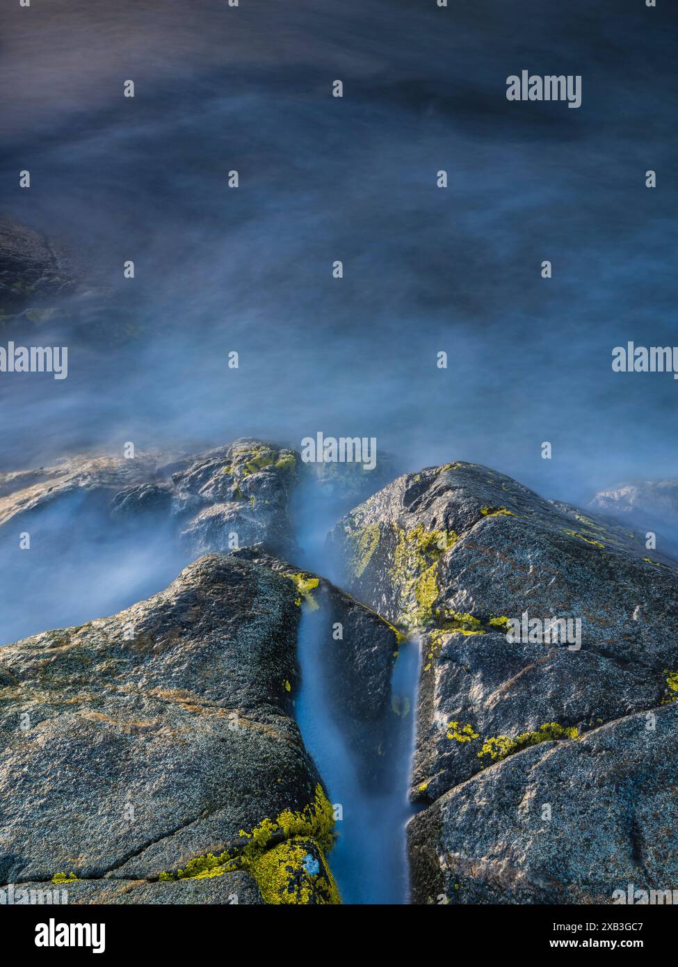 Vista ad alto angolo del fungo sulle rocce lungo il fiume Foto Stock