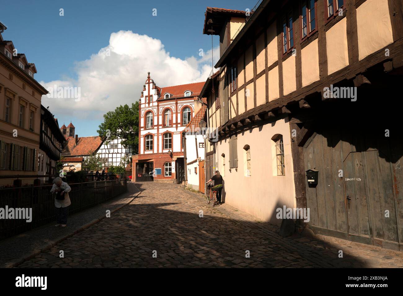 Quedlinburg, Sassonia-Anhalt, Germania Foto Stock