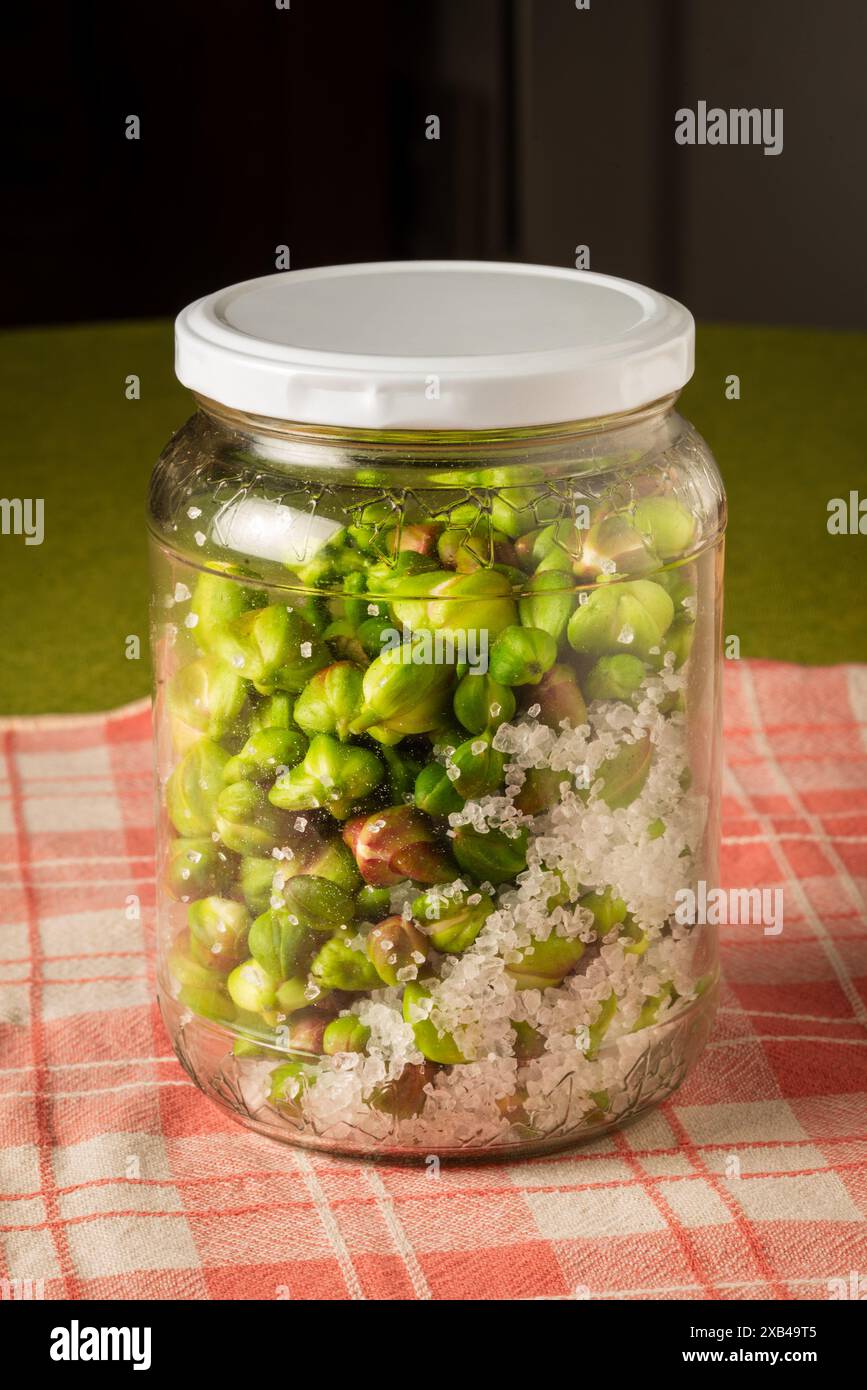 Boccioli di capperi conservati in un recipiente con sale, da utilizzare come sottaceti o condimenti Foto Stock