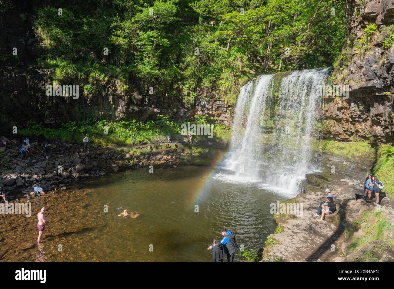 Nuoto selvaggio, cascata Sgwd Yr Eira, Afon Hepste, Waterfall Country, Galles, Regno Unito Foto Stock