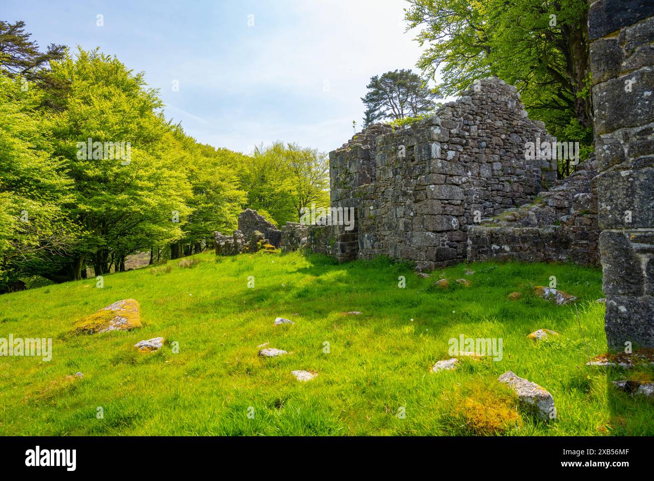 Le rovine di Powdermills tra Postbridge e Two Bridges Dartmoor Devon Foto Stock