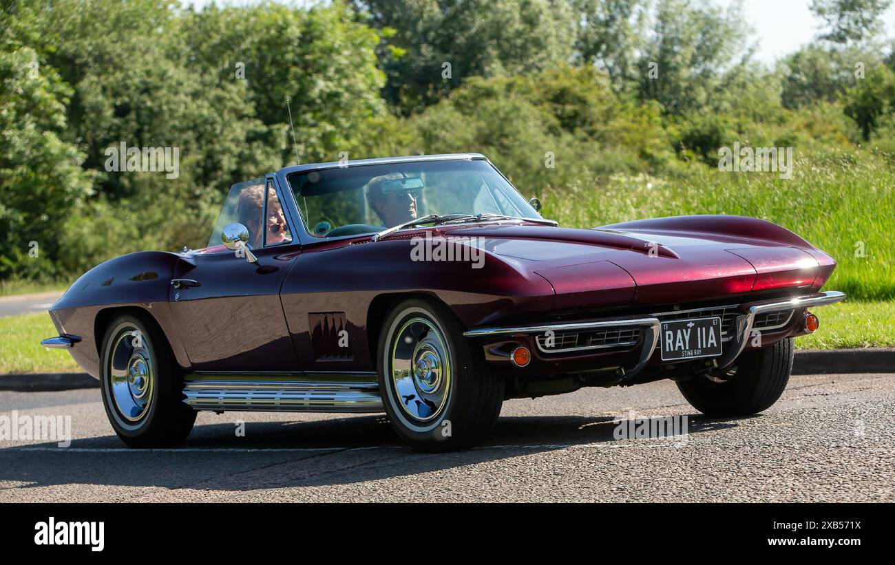 Stony Stratford, Regno Unito - 2 giugno 2024: 1967 Chevrolet Corvette Sting Ray classica auto americana maroon che guida su una strada di campagna britannica Foto Stock
