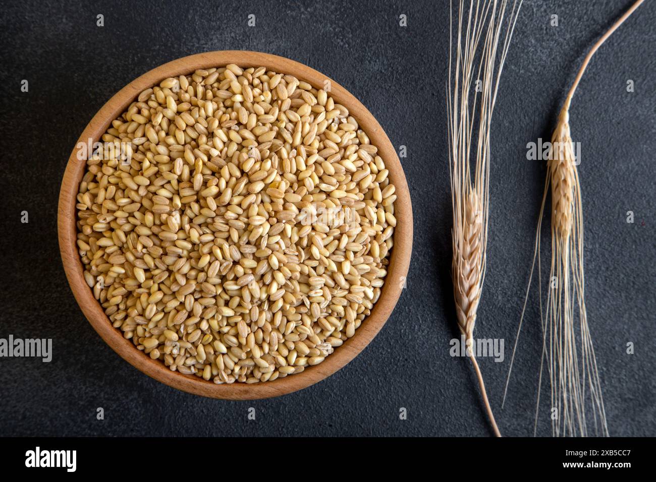 Grani di frumento in recipiente di legno e orecchie su sfondo nero Foto Stock