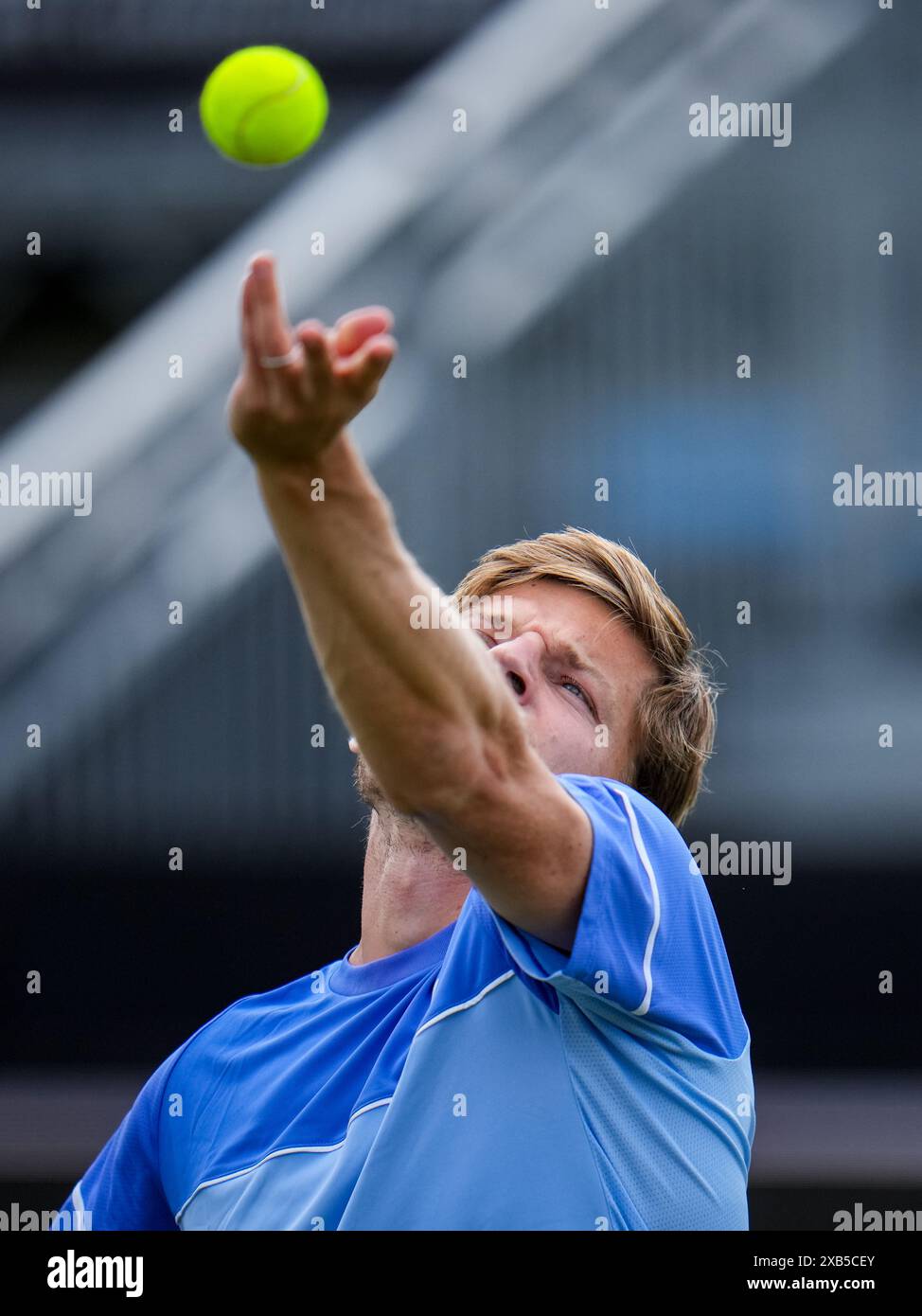 'S-HERTOGENBOSCH, PAESI BASSI - 10 GIUGNO: Il belga David Goffin partecipa al primo turno maschile contro l'italiano Luca Nardi il giorno 1 del Libema Open Grass Court Championships all'Autotron il 10 giugno 2024 a 'S-Hertogenbosch, Paesi Bassi (foto di Rene Nijhuis/Agenzia BSR) credito: Agenzia BSR/Alamy Live News Foto Stock