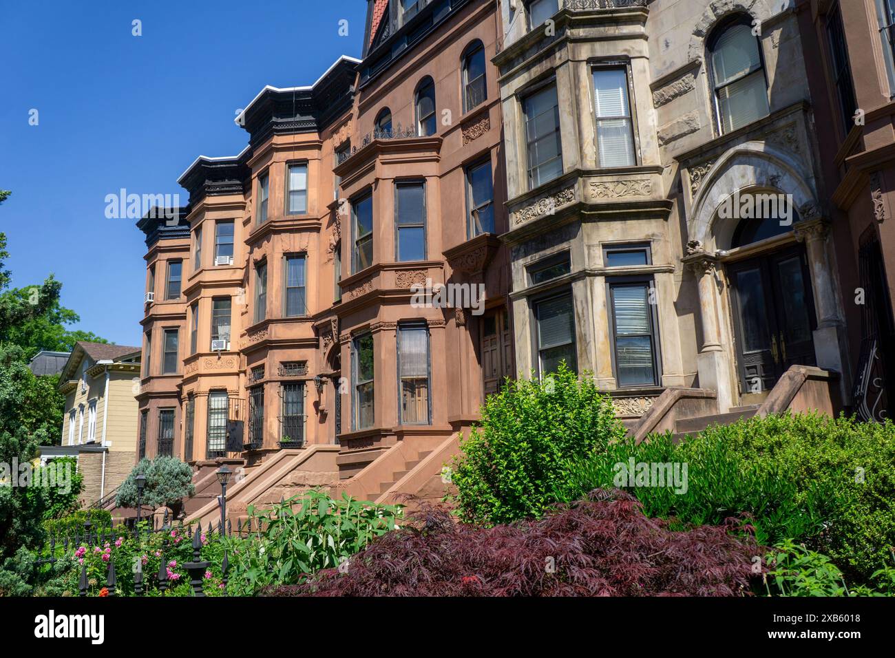 Fila di case in pietra arenaria, MacDonough Street, Bedford-Stuyvesant, Brooklyn, New York City, New York, Stati Uniti Foto Stock