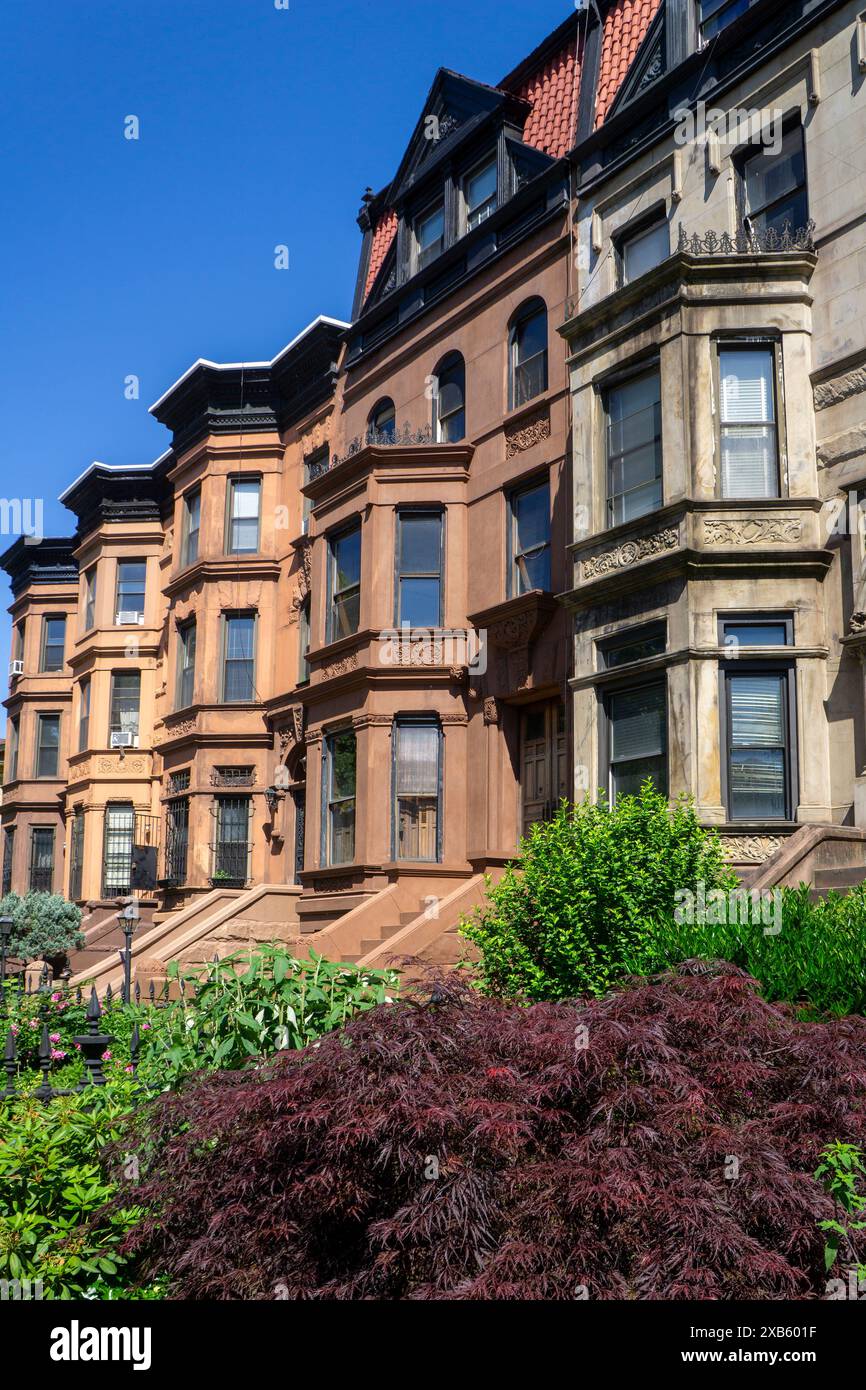 Fila di case in pietra arenaria, MacDonough Street, Bedford-Stuyvesant, Brooklyn, New York City, New York, Stati Uniti Foto Stock