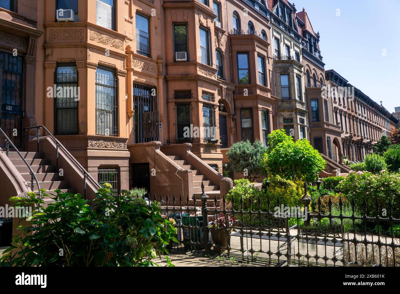 Fila di case in pietra arenaria, MacDonough Street, Bedford-Stuyvesant, Brooklyn, New York City, New York, Stati Uniti Foto Stock