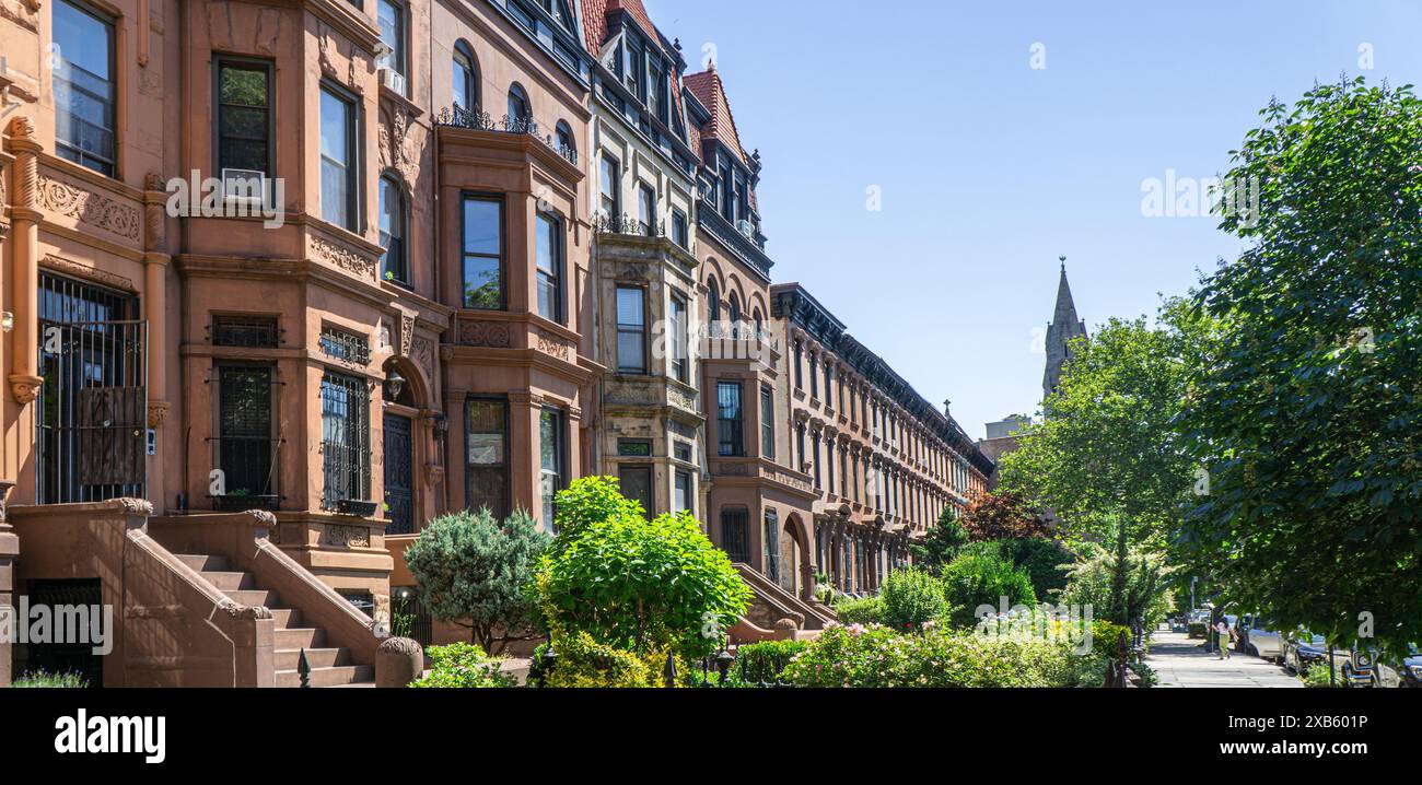 Fila di case in pietra arenaria, MacDonough Street, Bedford-Stuyvesant, Brooklyn, New York City, New York, Stati Uniti Foto Stock