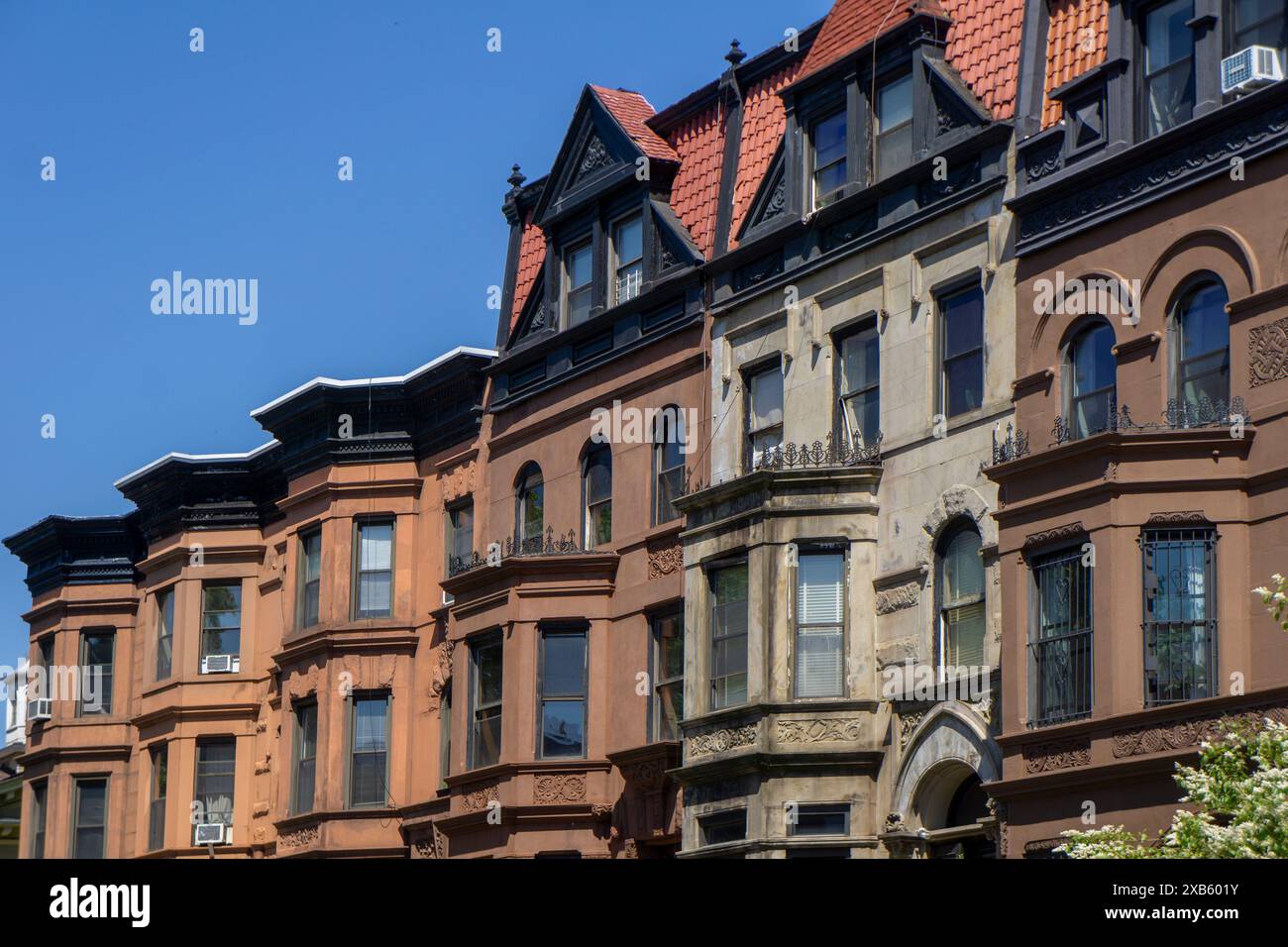 Fila di case in pietra arenaria, MacDonough Street, Bedford-Stuyvesant, Brooklyn, New York City, New York, Stati Uniti Foto Stock