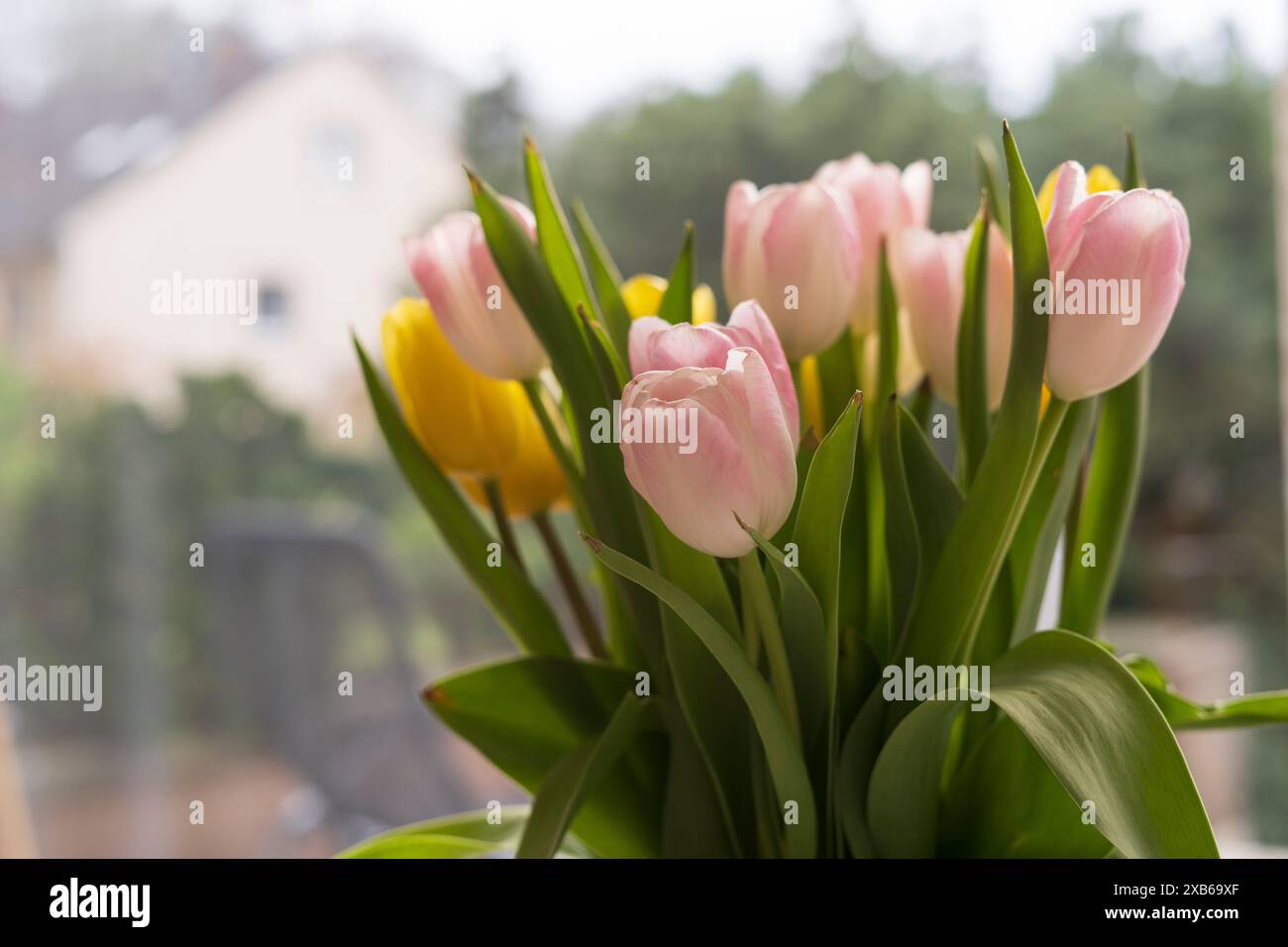 Un bouquet di tulipani multicolori sul tavolo. Il concetto di gioia, celebrazione e freschezza primaverile Foto Stock
