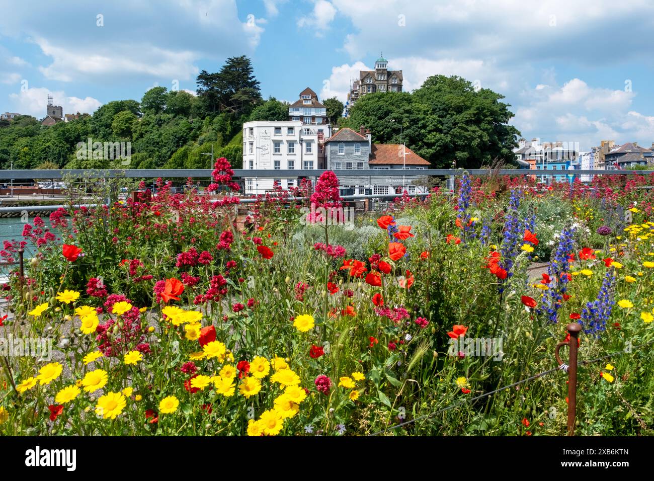 Folkestone, fiori estivi sul vecchio viadotto ferroviario pedonale sopra Folkestone Harbour, Kent, Regno Unito Foto Stock