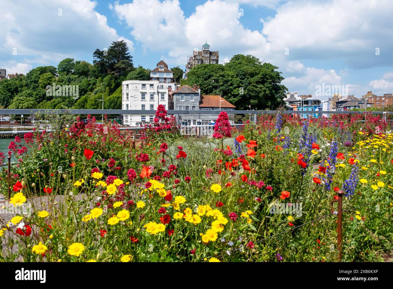 Folkestone, fiori estivi sul vecchio viadotto ferroviario pedonale sopra Folkestone Harbour, Kent, Regno Unito Foto Stock