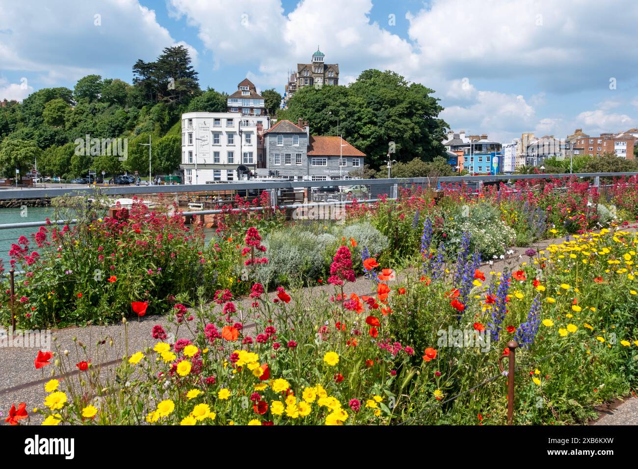 Folkestone, fiori estivi sul vecchio viadotto ferroviario pedonale sopra Folkestone Harbour, Kent, Regno Unito Foto Stock