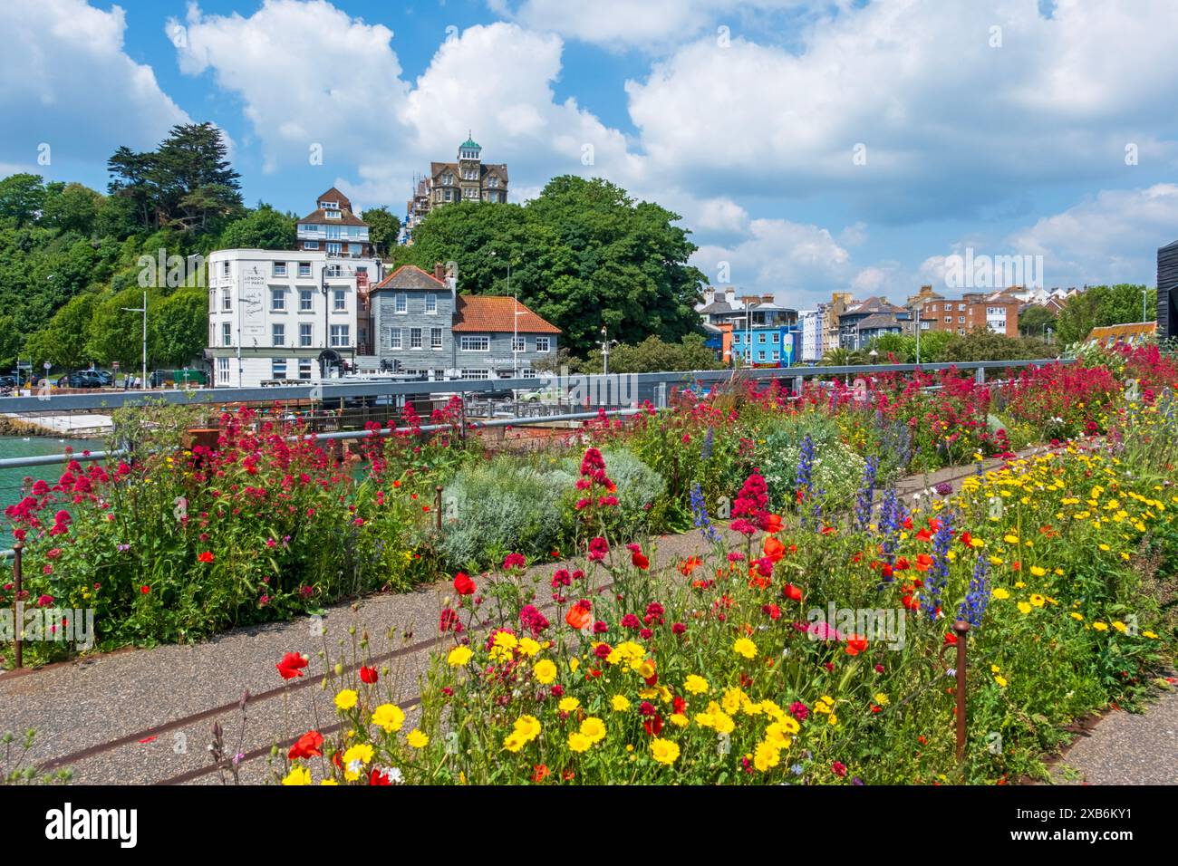 Folkestone, fiori estivi sul vecchio viadotto ferroviario pedonale sopra Folkestone Harbour, Kent, Regno Unito Foto Stock