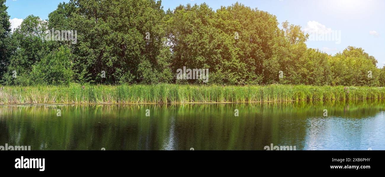 Foresta verde sulla sponda opposta di un lago o di un fiume con il bel tempo soleggiato Foto Stock