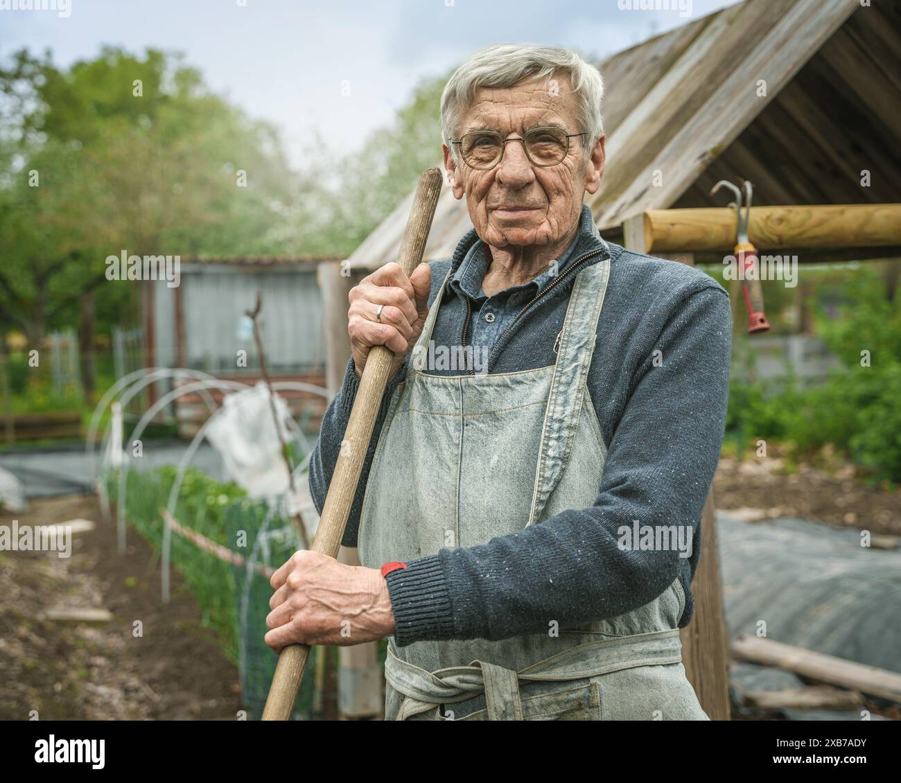 Uomo anziano che indossa un maglione e un grembiule, appoggiato su una pala mentre lavora in un orto, che rappresenta il giardinaggio e le attività all'aperto. Foto Stock
