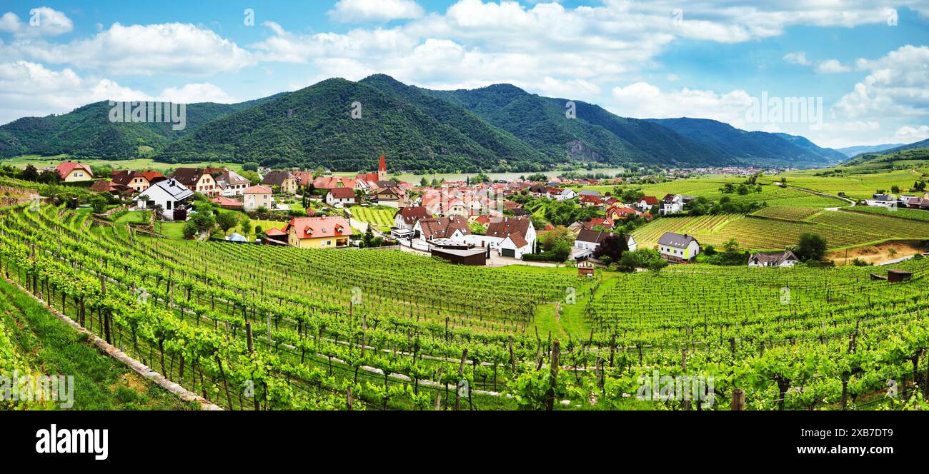 Il villaggio storico di Weissenkirchen si trova nella zona viticola, nel paesaggio della bassa Austria Foto Stock