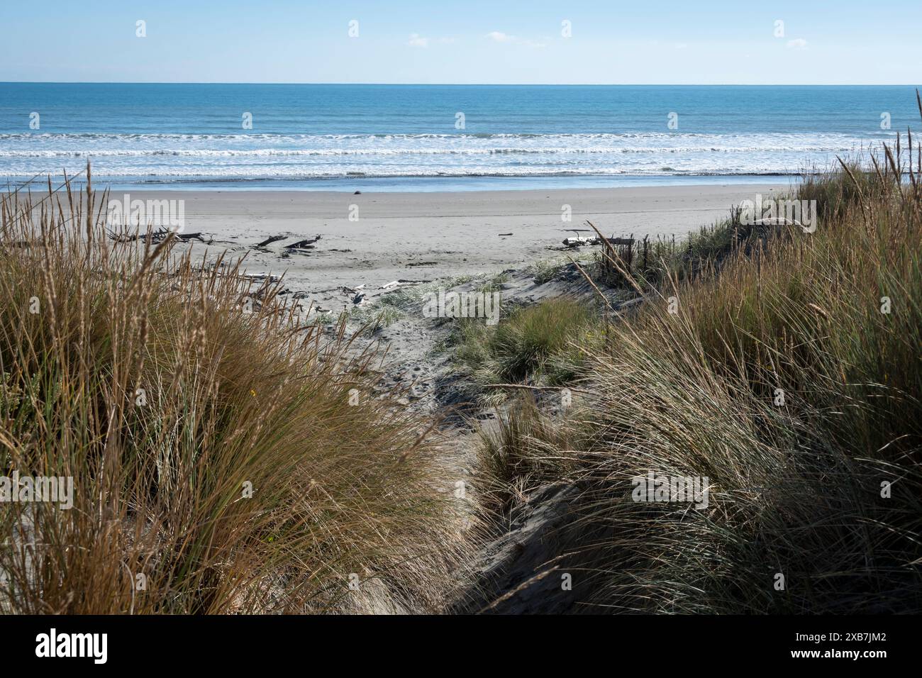 Percorso attraverso dune di sabbia fino a Waikawa Beach, Horowhenua, North Island, nuova Zelanda Foto Stock
