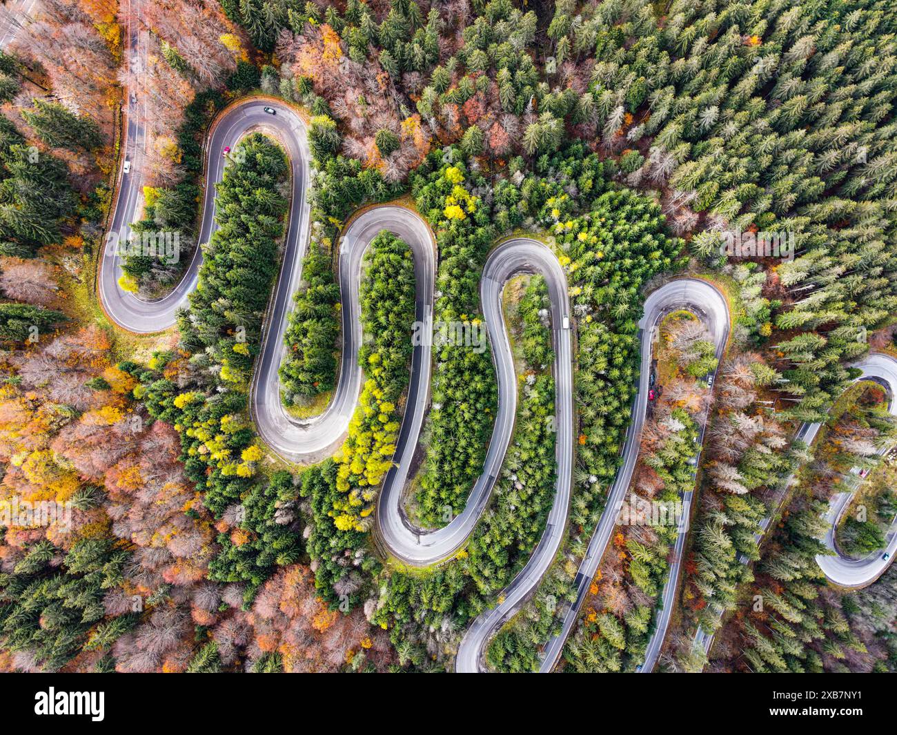 Una strada rurale curva nella foresta autunnale con curva a spirale Foto Stock