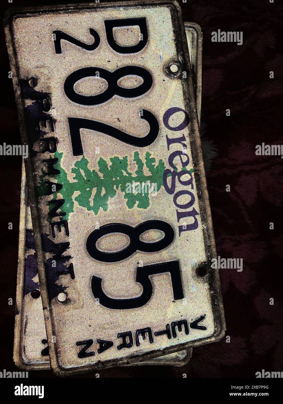 Le targhe del New Jersey sono tenute su uno sfondo nero Foto Stock