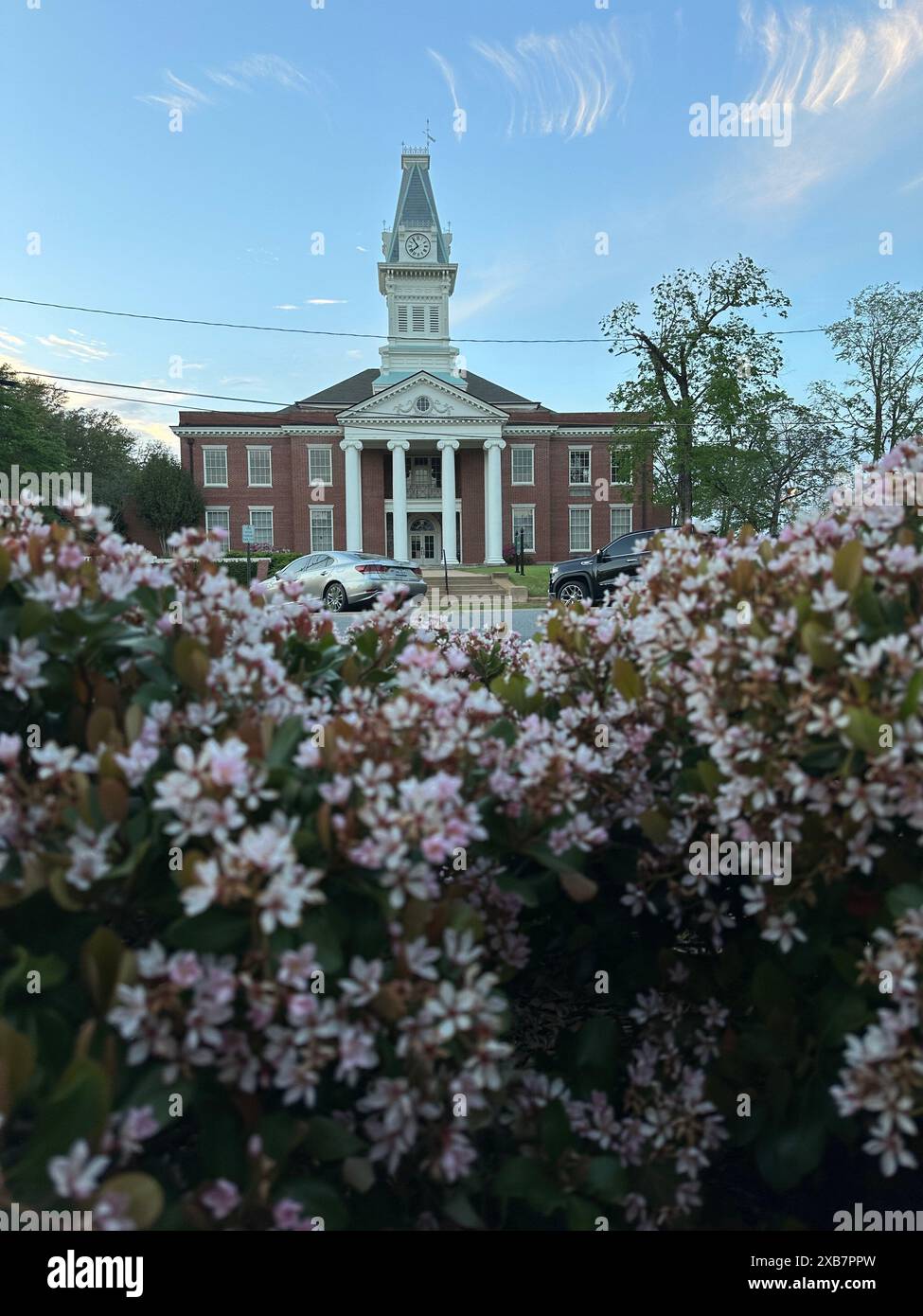I fiori rosa di fronte allo storico tribunale della contea di Baldwin Foto Stock