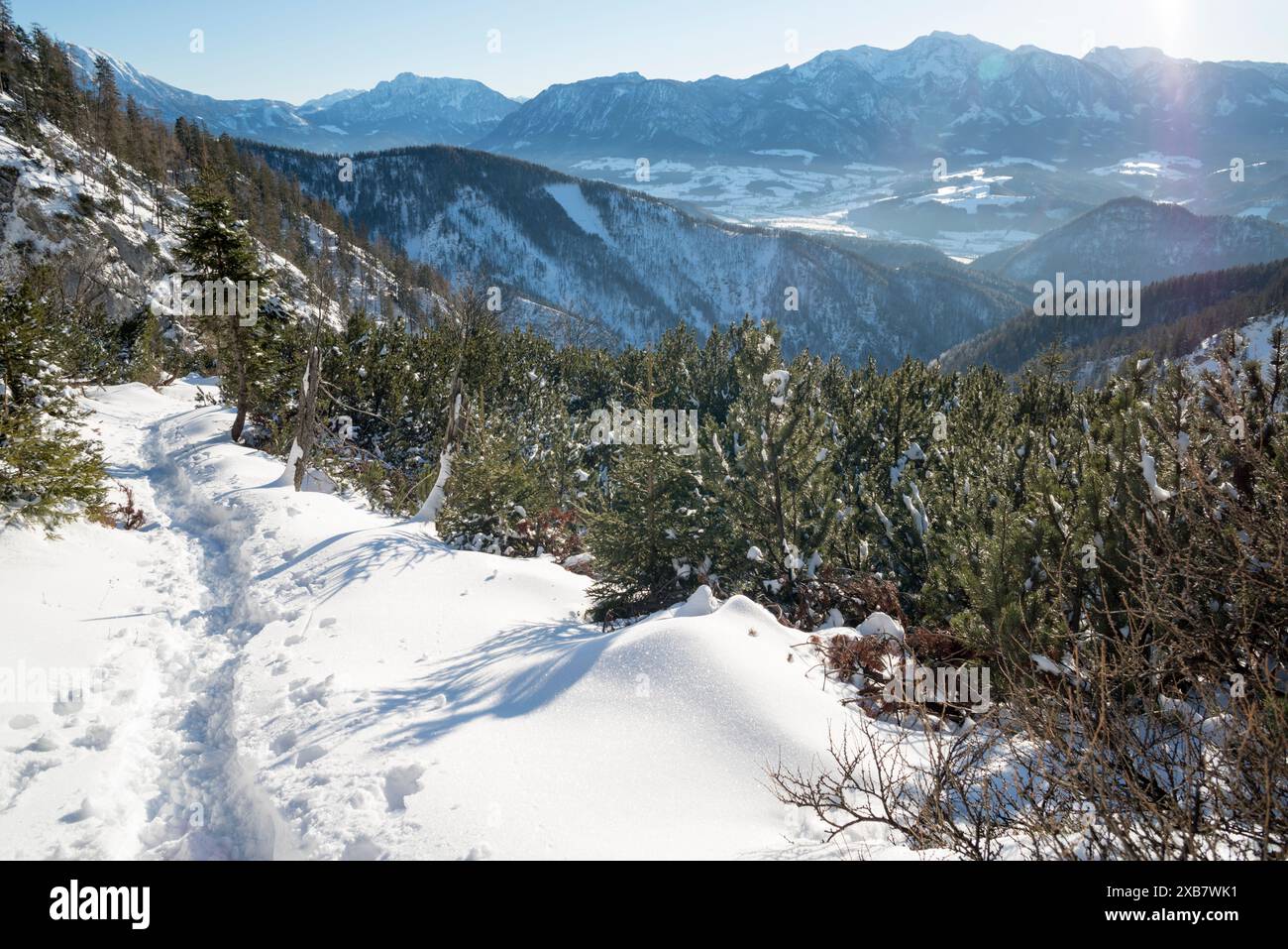Un terreno innevato con un sentiero marrone che si snoda attraverso il paesaggio bianco Foto Stock