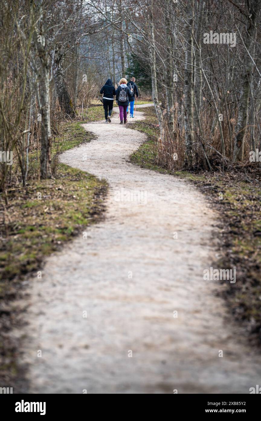 Un gruppo di individui passeggia lungo un sentiero in una foresta lussureggiante circondata da alberi torreggianti Foto Stock