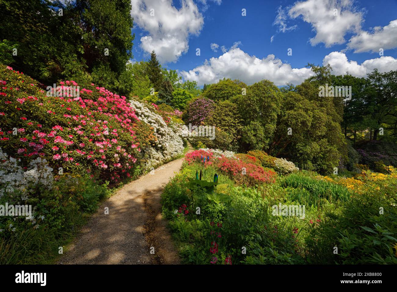 Parco inglese e giardino Foto Stock