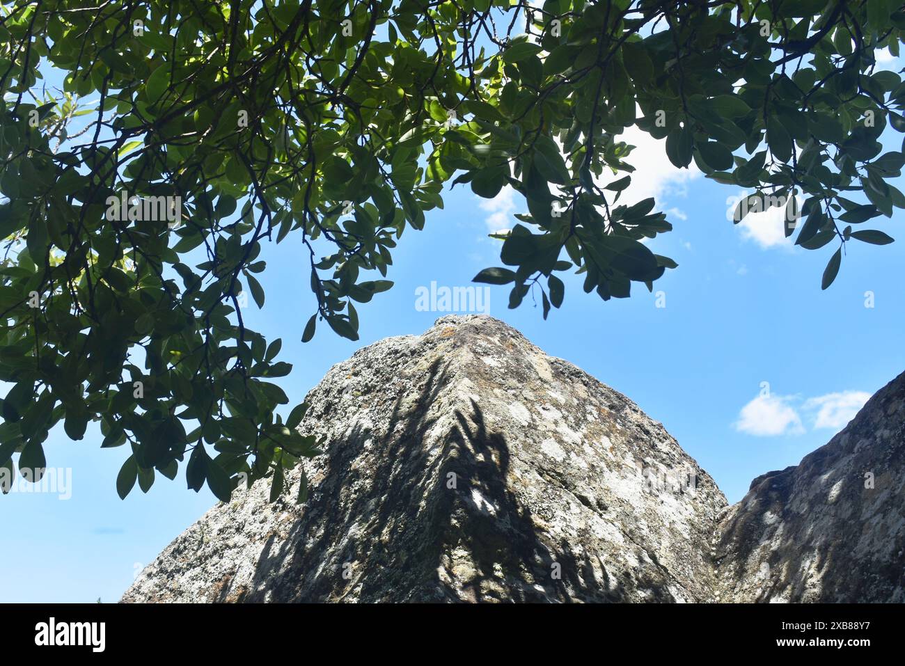 Cima di una montagna su un'isola vicino agli alberi Foto Stock
