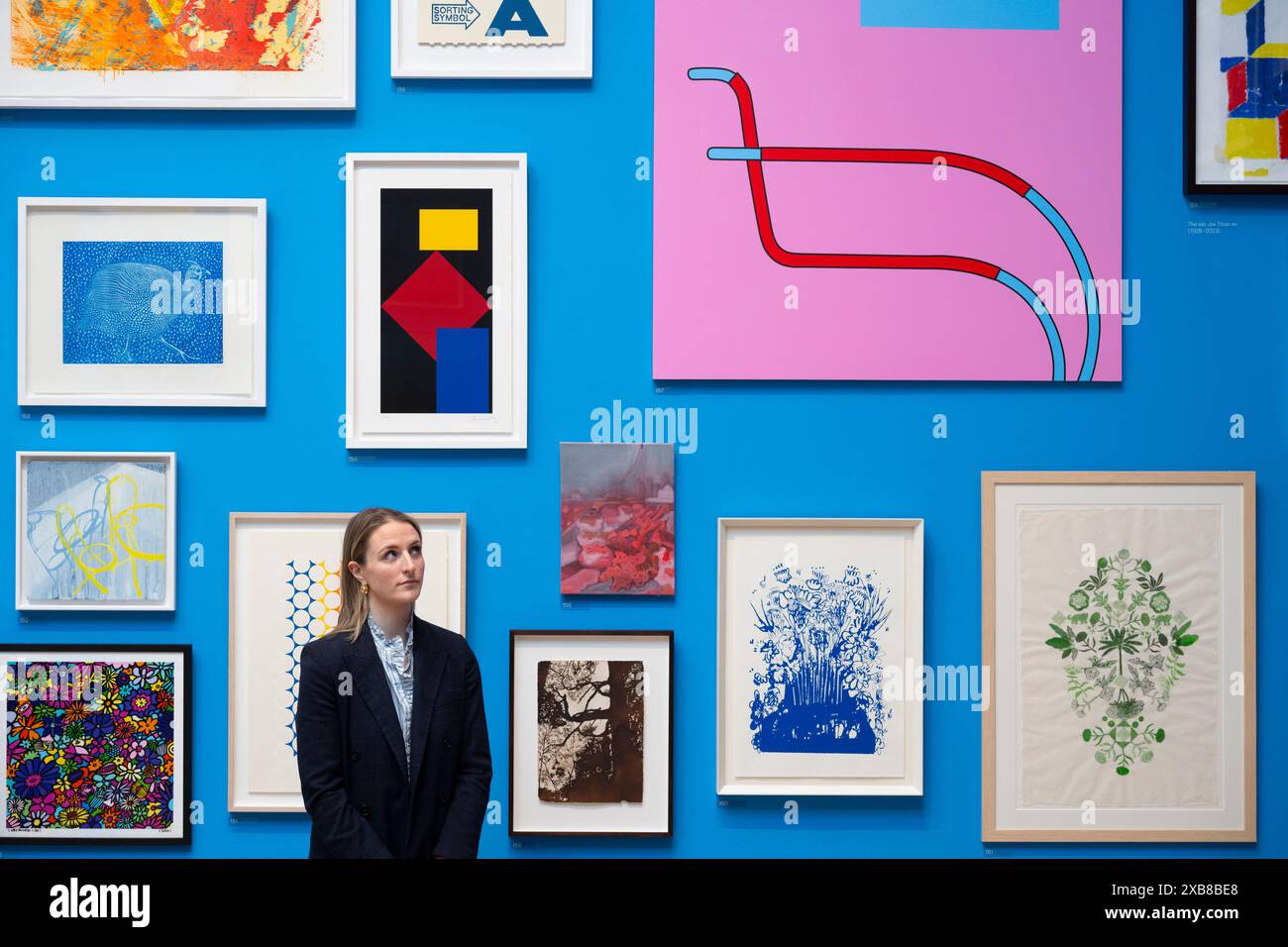 Royal Academy, Londra, Regno Unito. 11 giugno 2024. SOLO NOTIZIE EDITORIALI - oltre 1200 opere d'arte sono in mostra quest'anno alla Mostra estiva. La mostra estiva presso l'RA di Londra, si svolge dal 18 giugno al 18 agosto 2024 ed è la più grande mostra di arte contemporanea aperta al mondo che si svolge ogni anno senza interruzioni dal 1769. Immagine: Parete di opere selezionate nella grande sala Weston, selezionata da Cornelia Parker CBE RA Foto Stock