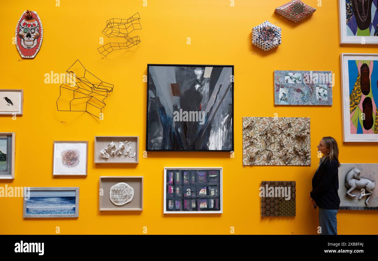 Royal Academy, Londra, Regno Unito. 11 giugno 2024. SOLO NOTIZIE EDITORIALI - oltre 1200 opere d'arte sono in mostra quest'anno alla Mostra estiva. La Summer Exhibition presso la RA di Londra, si svolge dal 18 giugno al 18 agosto 2024 ed è la più grande mostra d'arte contemporanea aperta al mondo che si svolge ogni anno senza interruzioni dal 1769. Immagine: Pareti di opere selezionate appese alla mostra. Crediti: Malcolm Park/Alamy Live News Foto Stock