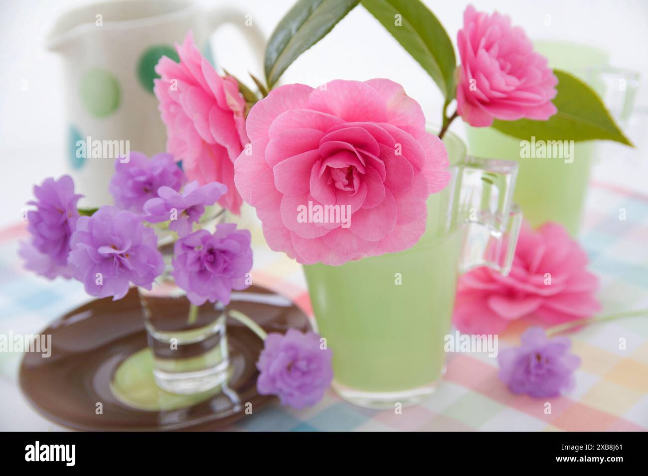 Botanica, camelie in bicchieri di vetro verde con primula su tessuto a scacchi su sfondo bianco, DIRITTI AGGIUNTIVI-CLEARANCE-INFO-NON-DISPONIBILE Foto Stock
