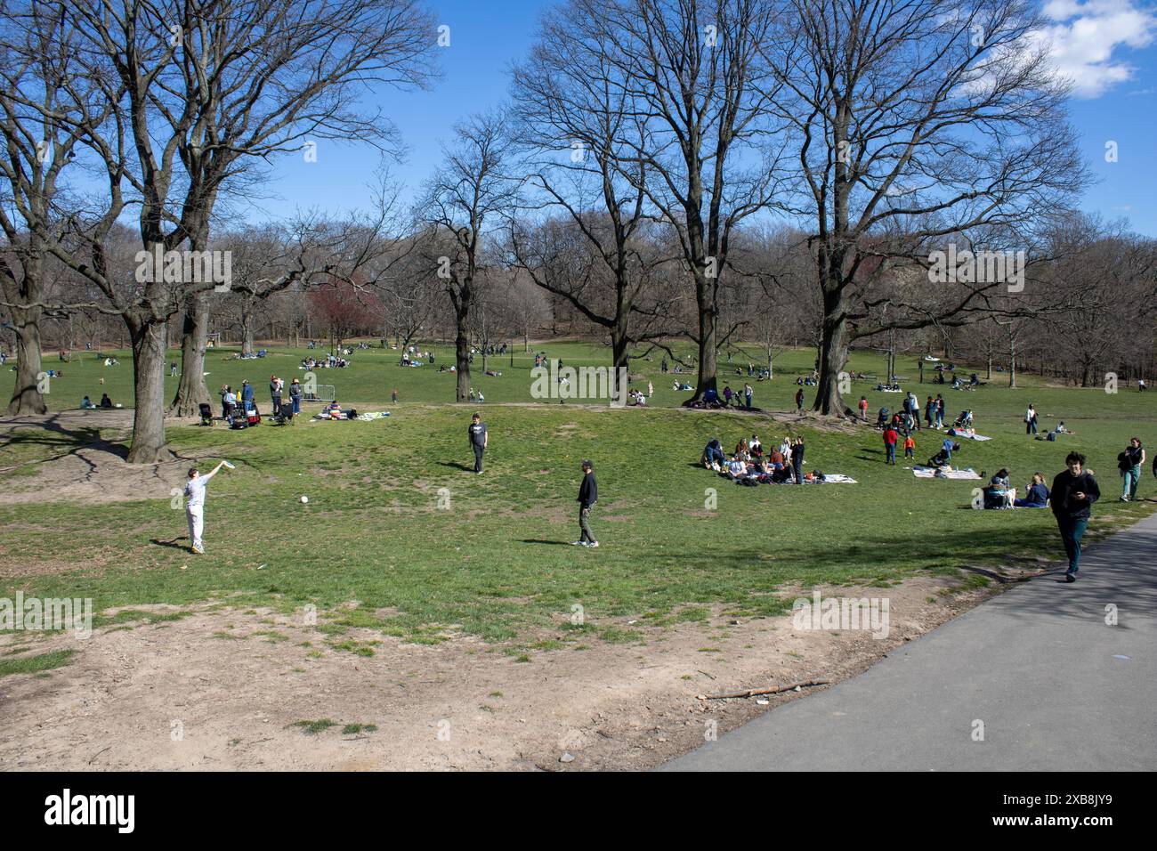 Una folla che si gode di un parco vivace sotto un cielo blu nuvoloso a New York, Stati Uniti Foto Stock