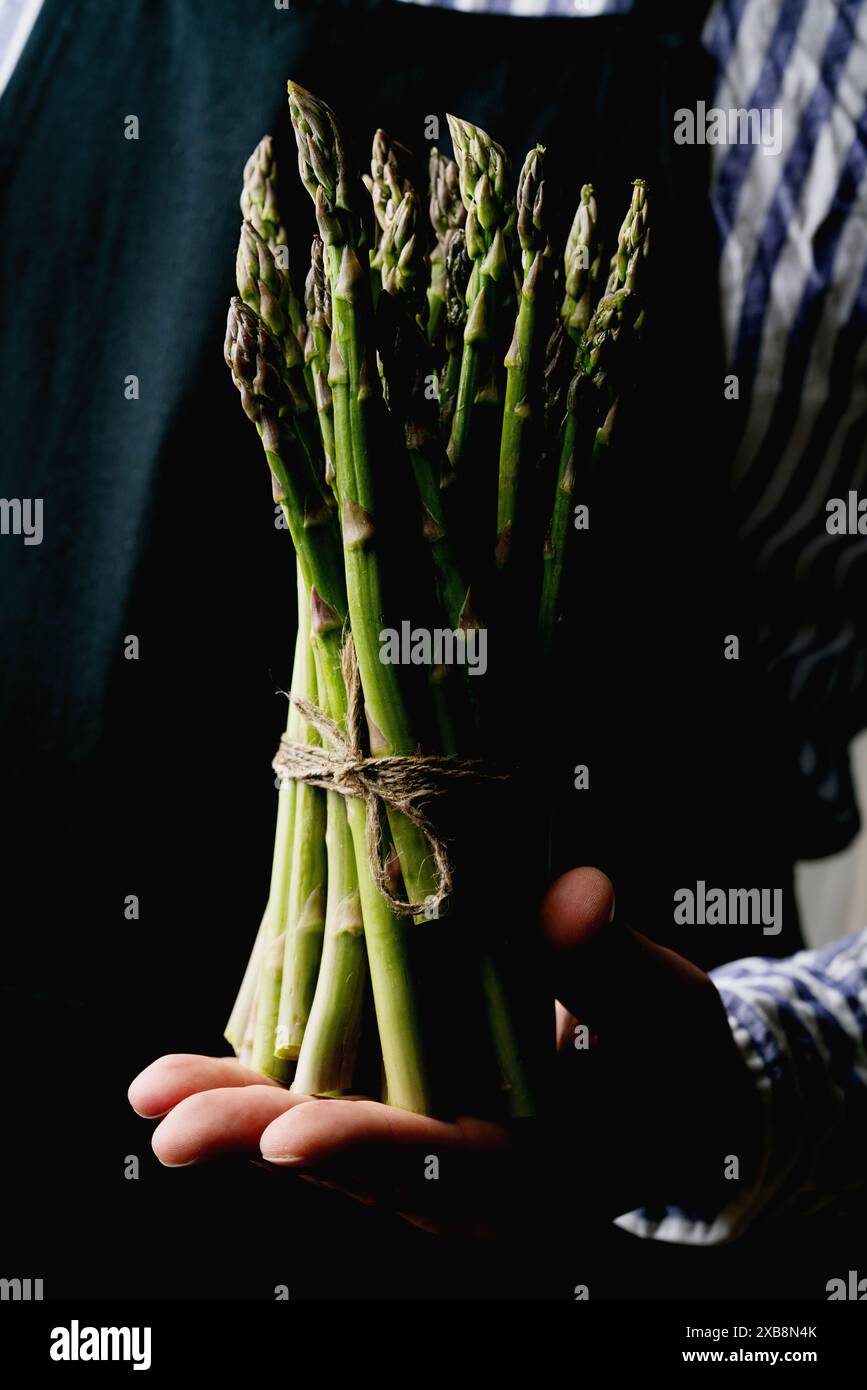 Una persona con camicia a righe e grembiule scuro che tiene in mano un fascio di asparagi verdi freschi, legati con spago. Le immagini evidenziano il colore verde brillante di Foto Stock
