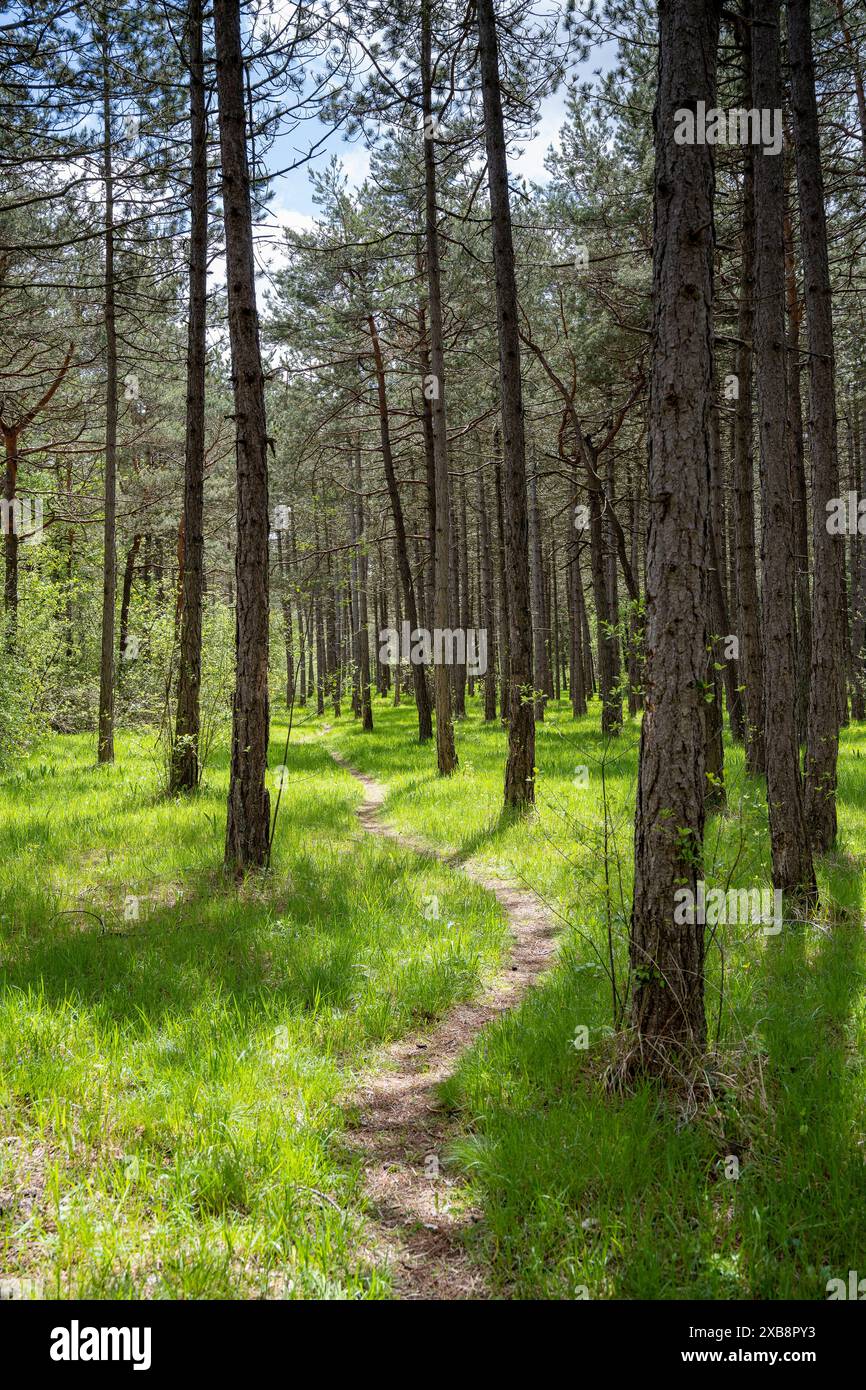 Geografia / viaggi, Germania, ATTENZIONE! PER L'USO DI GREETINGCARD/CARTOLINA NEI PAESI DI LINGUA TEDESCA POTREBBERO ESSERE APPLICATE ALCUNE RESTRIZIONI Foto Stock