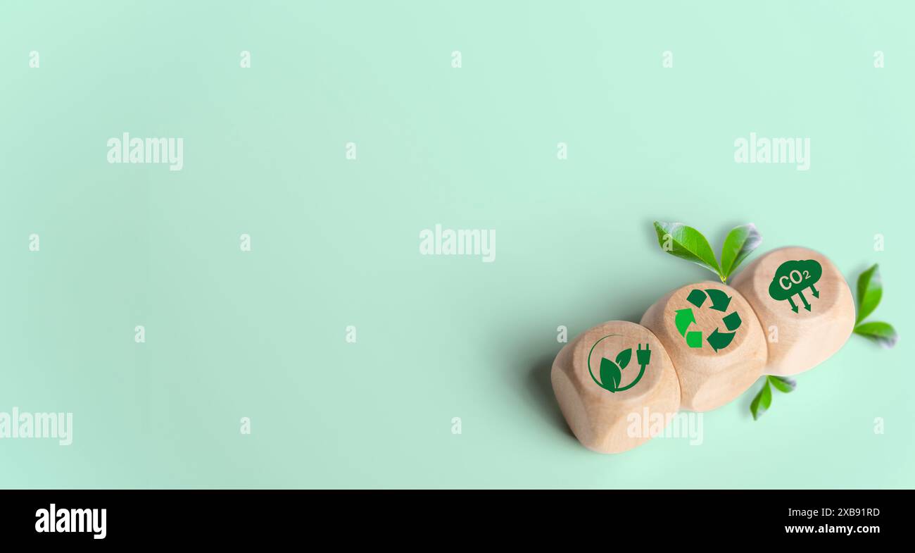 Icona dell'energia verde su un blocco di legno per il risparmio energetico e lo sviluppo sostenibile. ESG, impronta di carbonio. Concetto di riduzione delle emissioni di CO2. Sviluppo sostenibile Foto Stock