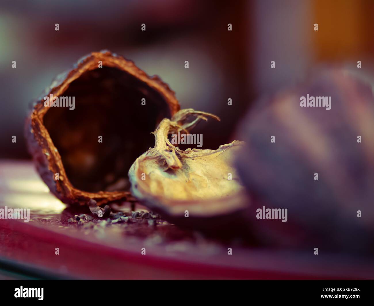 Un fagiolo di cacao sul tavolo rosso Foto Stock